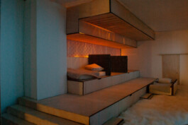 Femi Alexandra Awokoya