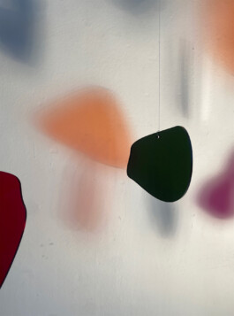 Femi Alexandra Awokoya