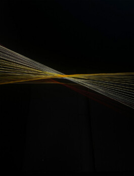 Femi Alexandra Awokoya