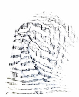 Femi Alexandra Awokoya