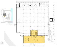 Femi Alexandra Awokoya