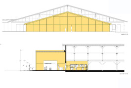 Femi Alexandra Awokoya