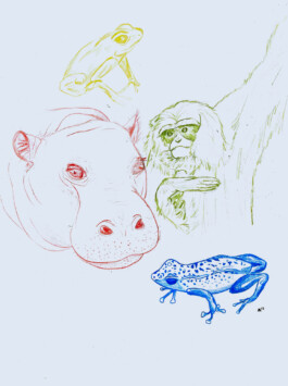 Femi Alexandra Awokoya