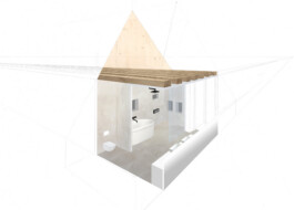 Femi Alexandra Awokoya