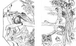 Femi Alexandra Awokoya