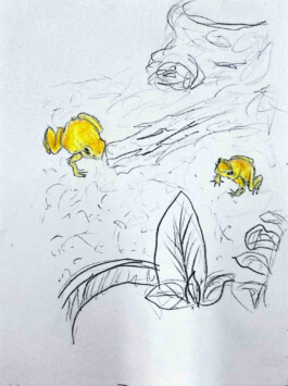 Femi Alexandra Awokoya