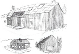 Femi Alexandra Awokoya